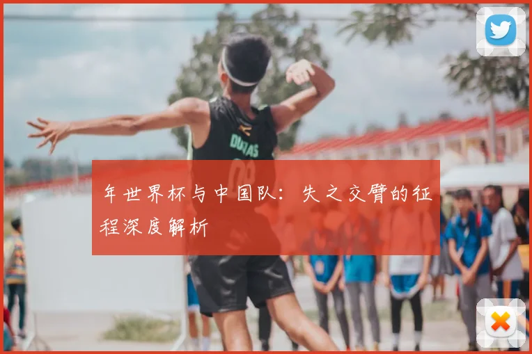 年世界杯与中国队:失之交臂的征程深度解析