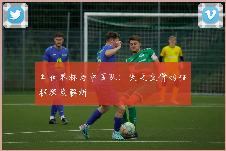 年世界杯与中国队:失之交臂的征程深度解析