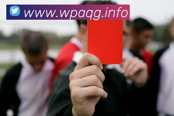 九游j9官网入口免费服务体系